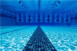 Swimming Pool Picture