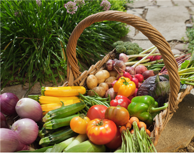 Organic Gardening Picture